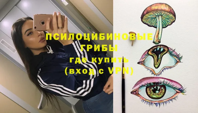 Галлюциногенные грибы GOLDEN TEACHER  Великий Устюг 