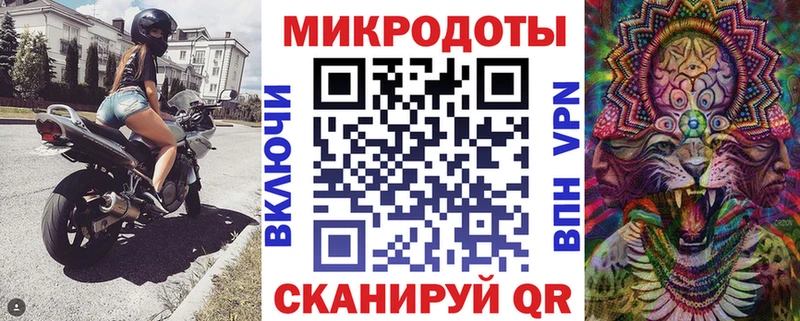 Псилоцибиновые грибы Psilocybe  Великий Устюг 
