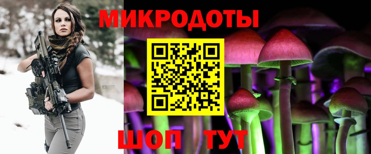 Галлюциногенные грибы прущие грибы Великий Устюг