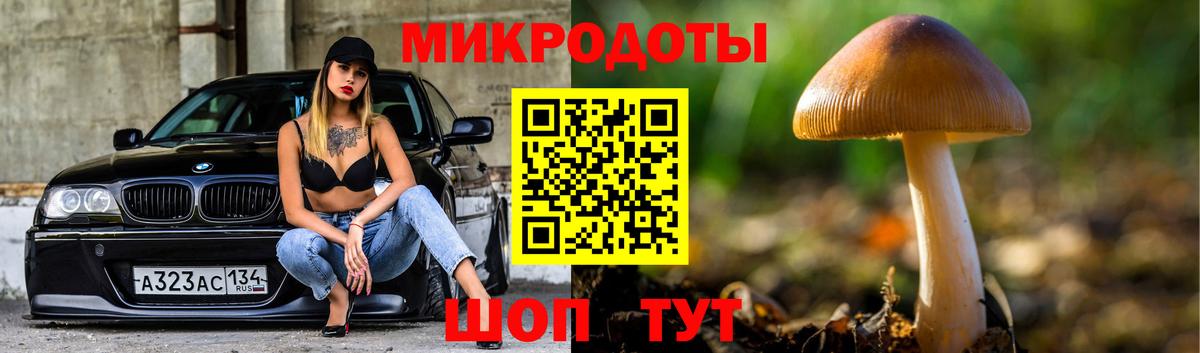 Псилоцибиновые грибы Cubensis Великий Устюг